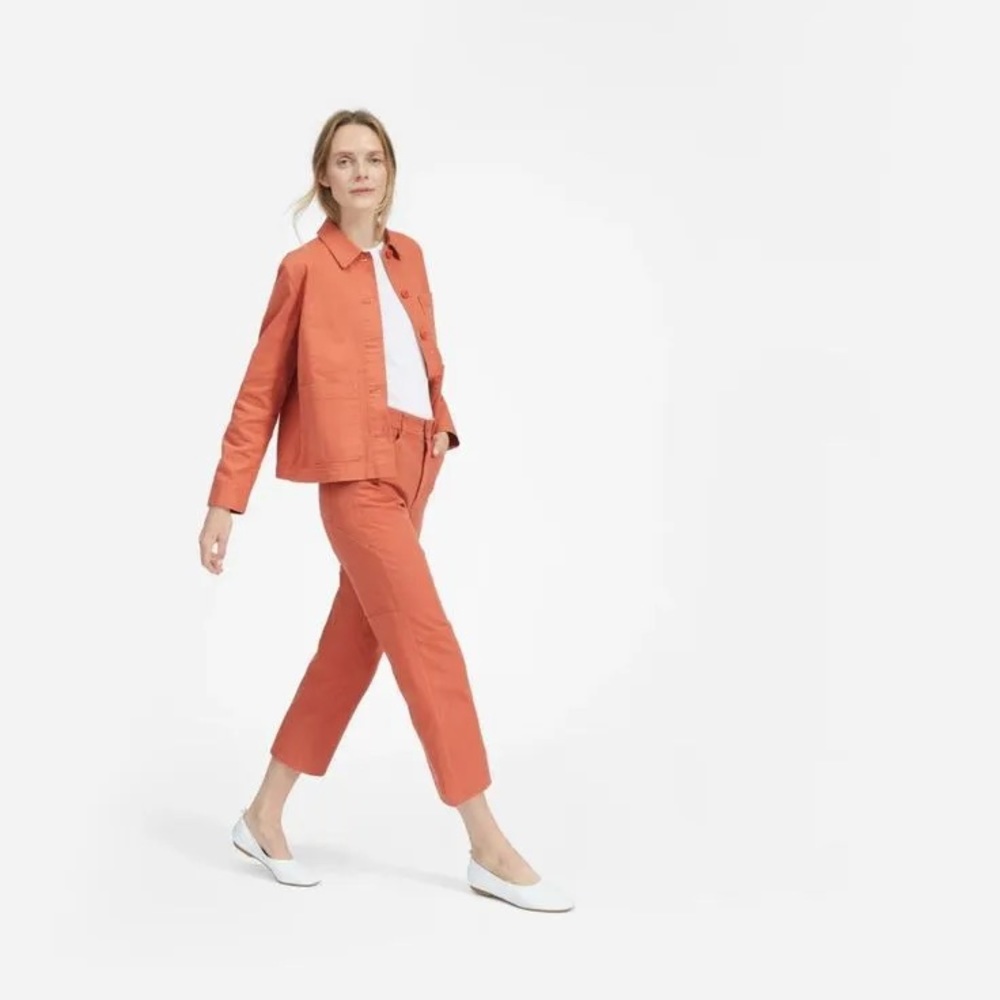 Everlane The Carpenter Pant W6 in Spanish Clay